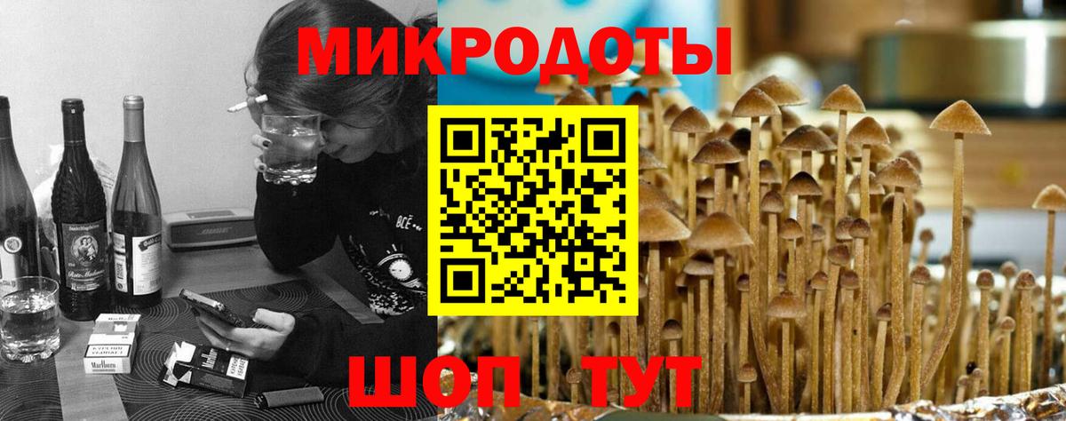 Галлюциногенные грибы Psilocybine cubensis  Вход с VPN  Галлюциногенные грибы Magic Shrooms  Краснознаменск 