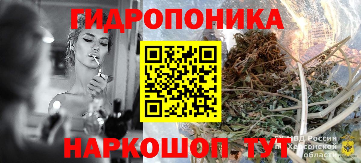 Каннабис OG Kush Краснознаменск